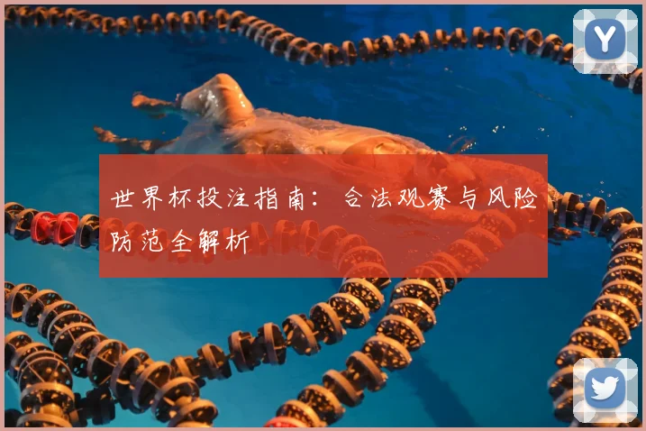 世界杯投注指南：合法观赛与风险防范全解析