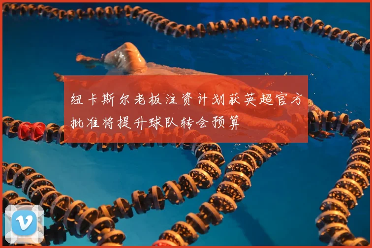 纽卡斯尔老板注资计划获英超官方批准将提升球队转会预算